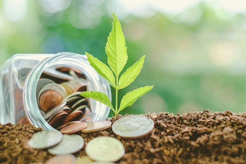 إقامة المشروعات الخيرية الموسمية
